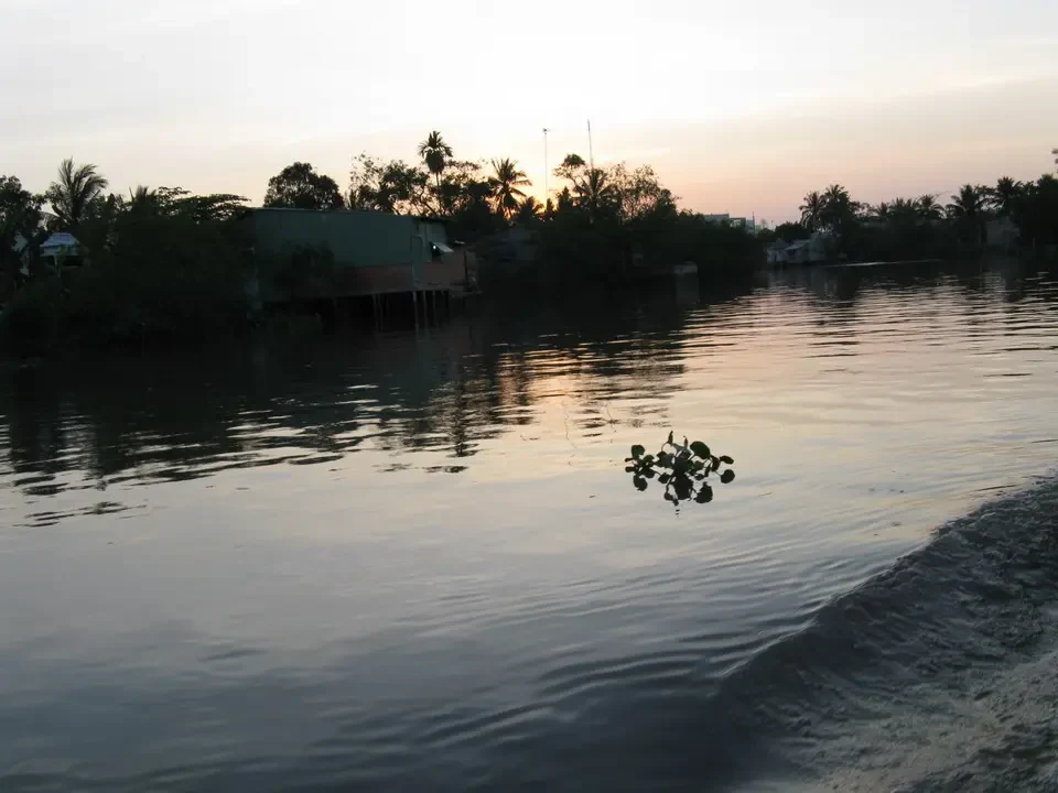 Tramonto sul fiume Mekong con vegetazione sullo sfondo.