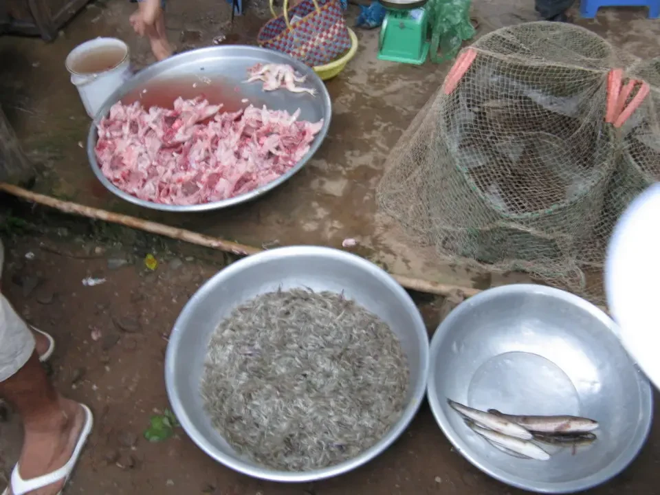 Pesce e carne sono esposti su una superficie terrosa in un mercato vietnamita o cambogiano.