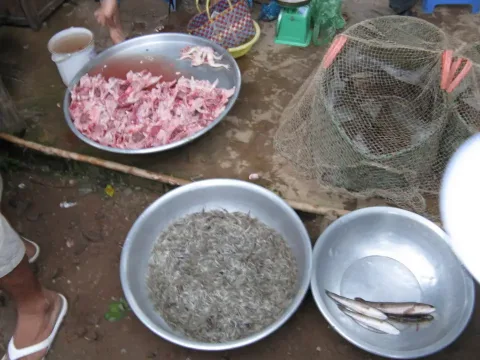 Vietnam Cambodia Day 12