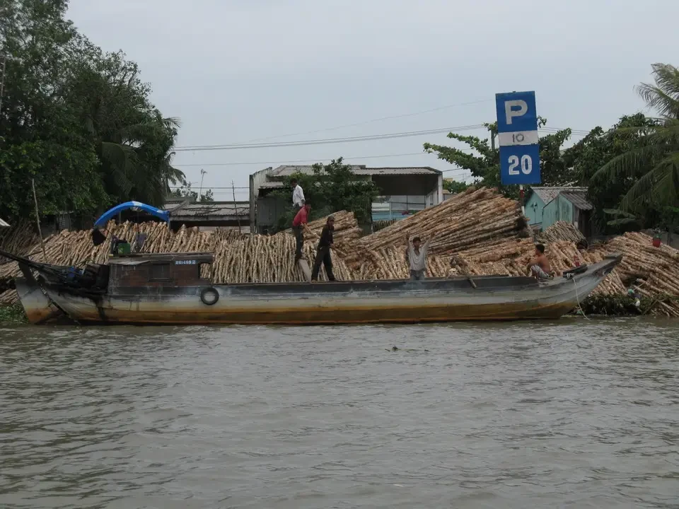 Una barca galleggiante trasporta legname su un fiume in Vietnam o Cambogia.