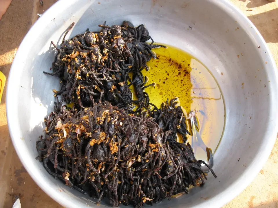 Una ciotola bianca contiene una grande quantità di pasta di caffè scura e olio giallo.