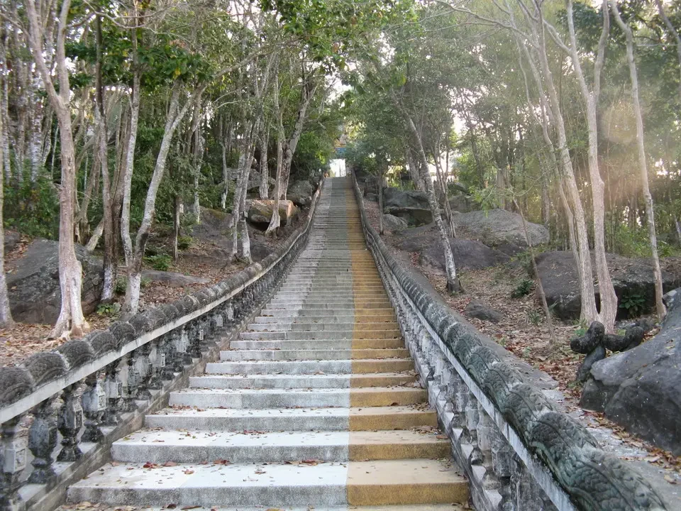 Gradini in pietra attraversano un sentiero boschivo.
