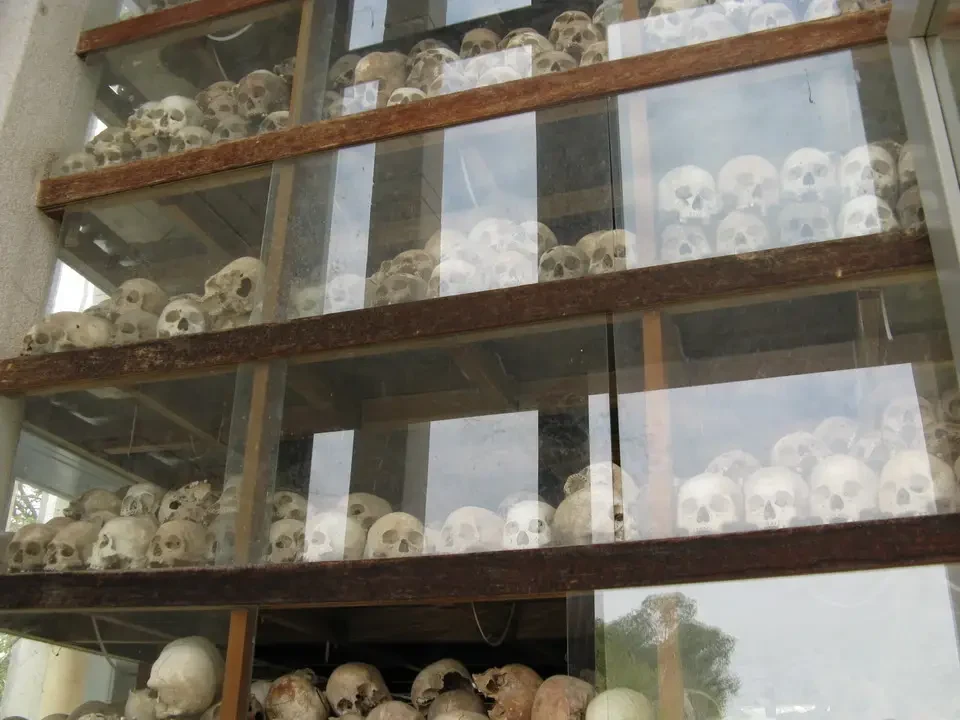 Una galleria di teschi antichi è esposta su più ripiani in un edificio.