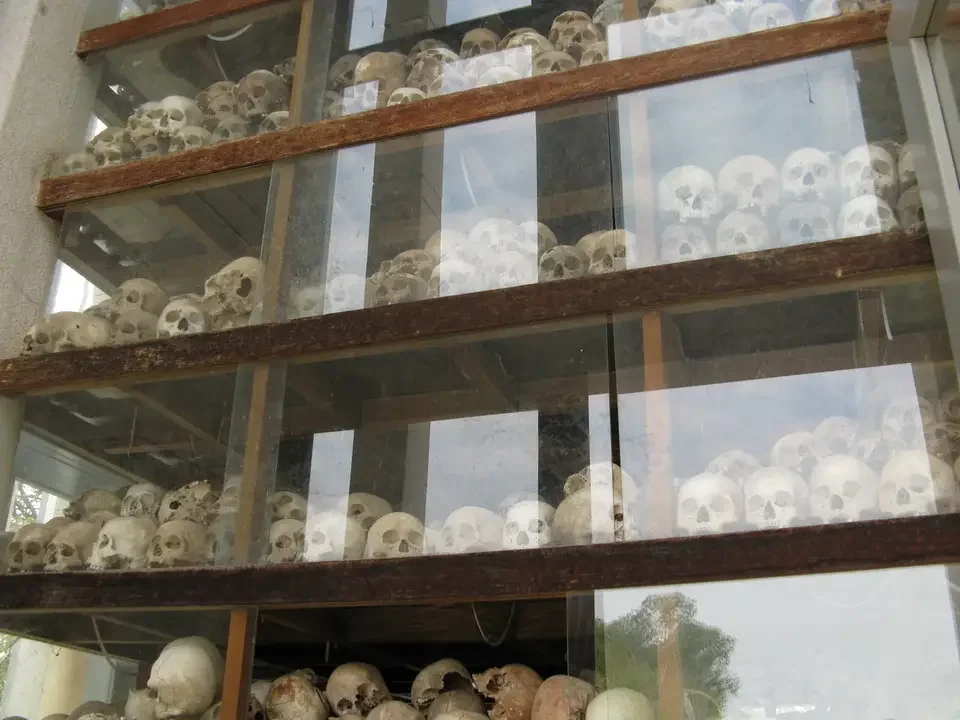 Una galleria di teschi antichi è esposta su più ripiani in un edificio.