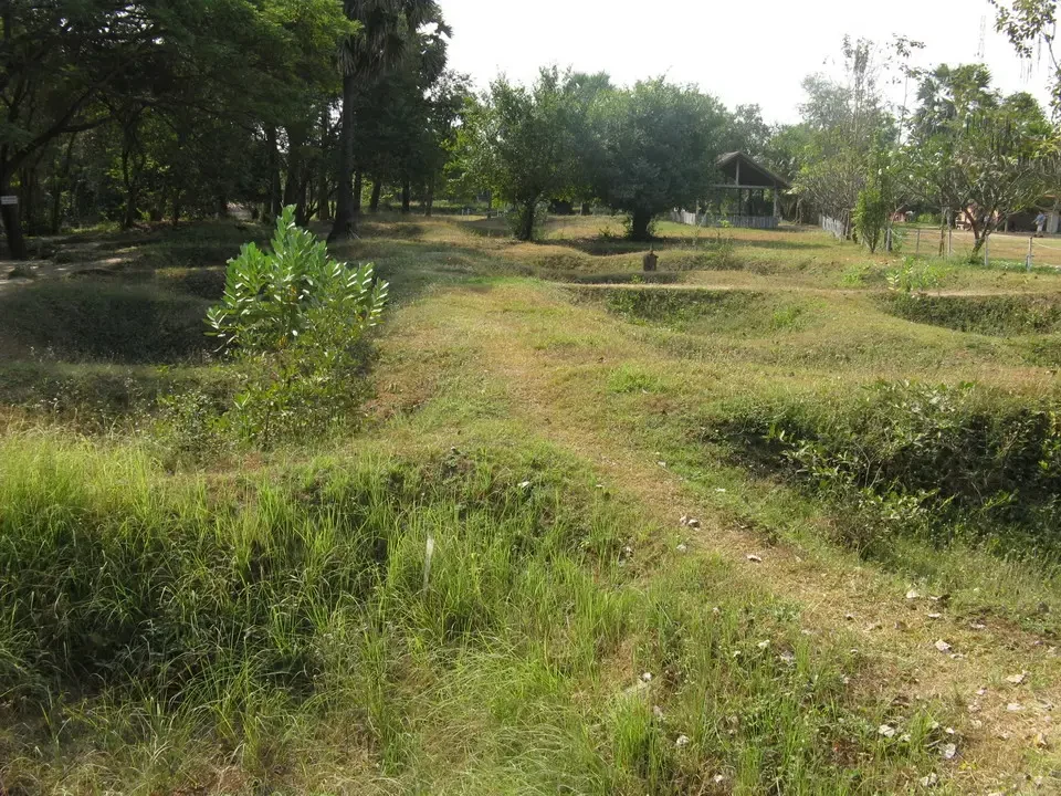 Paesaggio rurale con vegetazione verde e alberi in una zona di confine tra Vietnam e Cambogia.