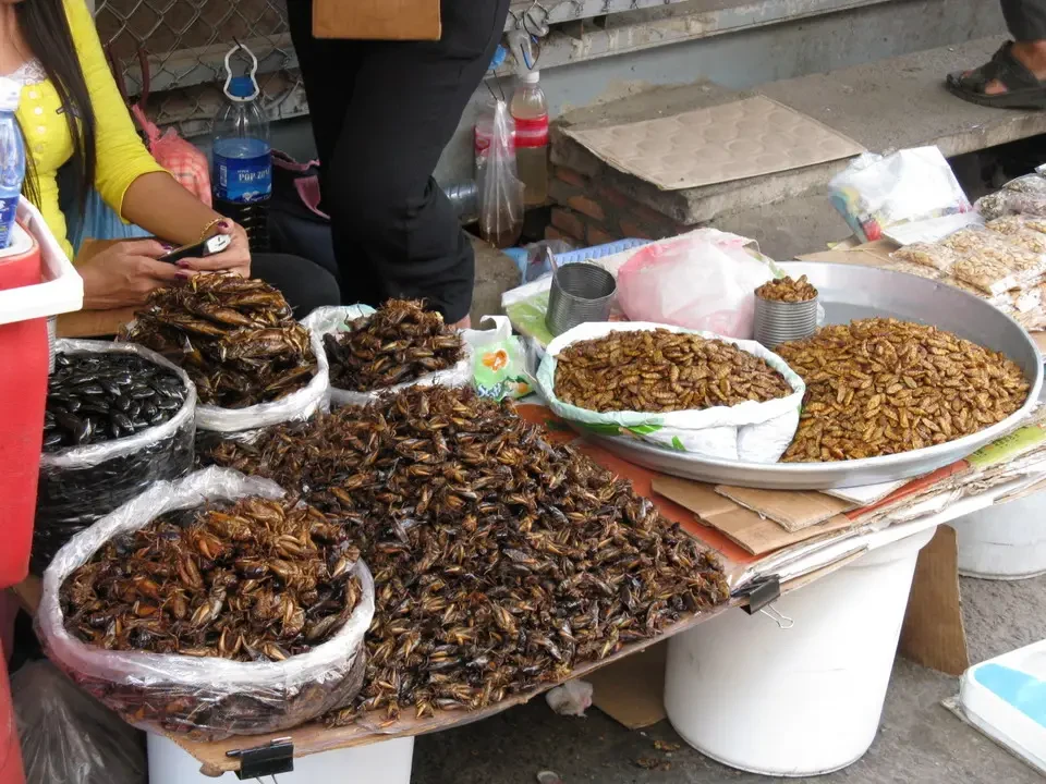 Pesce essiccato esposto su un tavolo in un mercato al Vietnam o Cambogia.