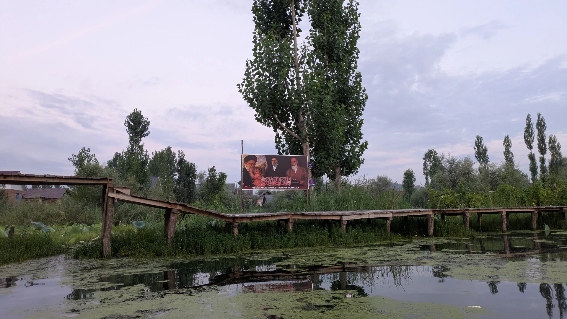 0279.26.08.03.Srinagar - Dal lake