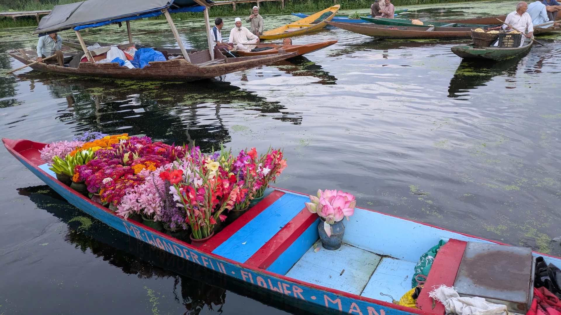 0293.26.08.03.Srinagar - Floating market