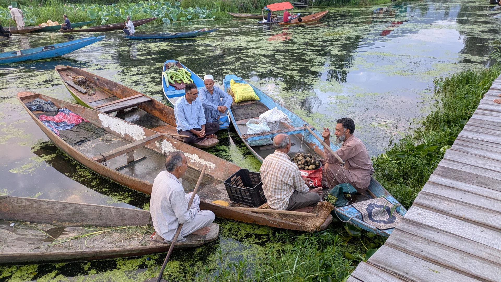 0327.26.08.03.Srinagar - Floating market