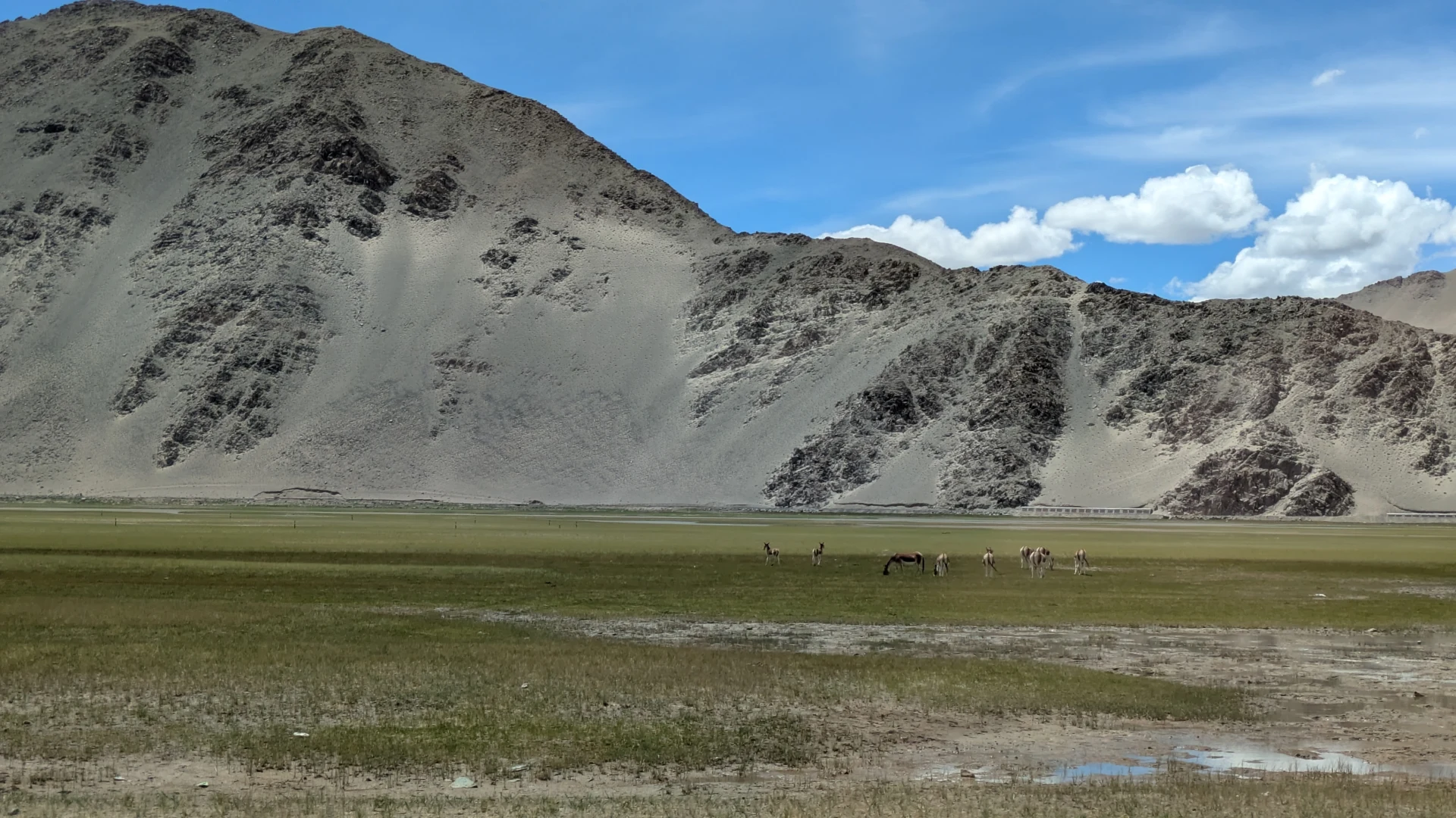 1511.26.08.10.Changthang plateau - Indus river