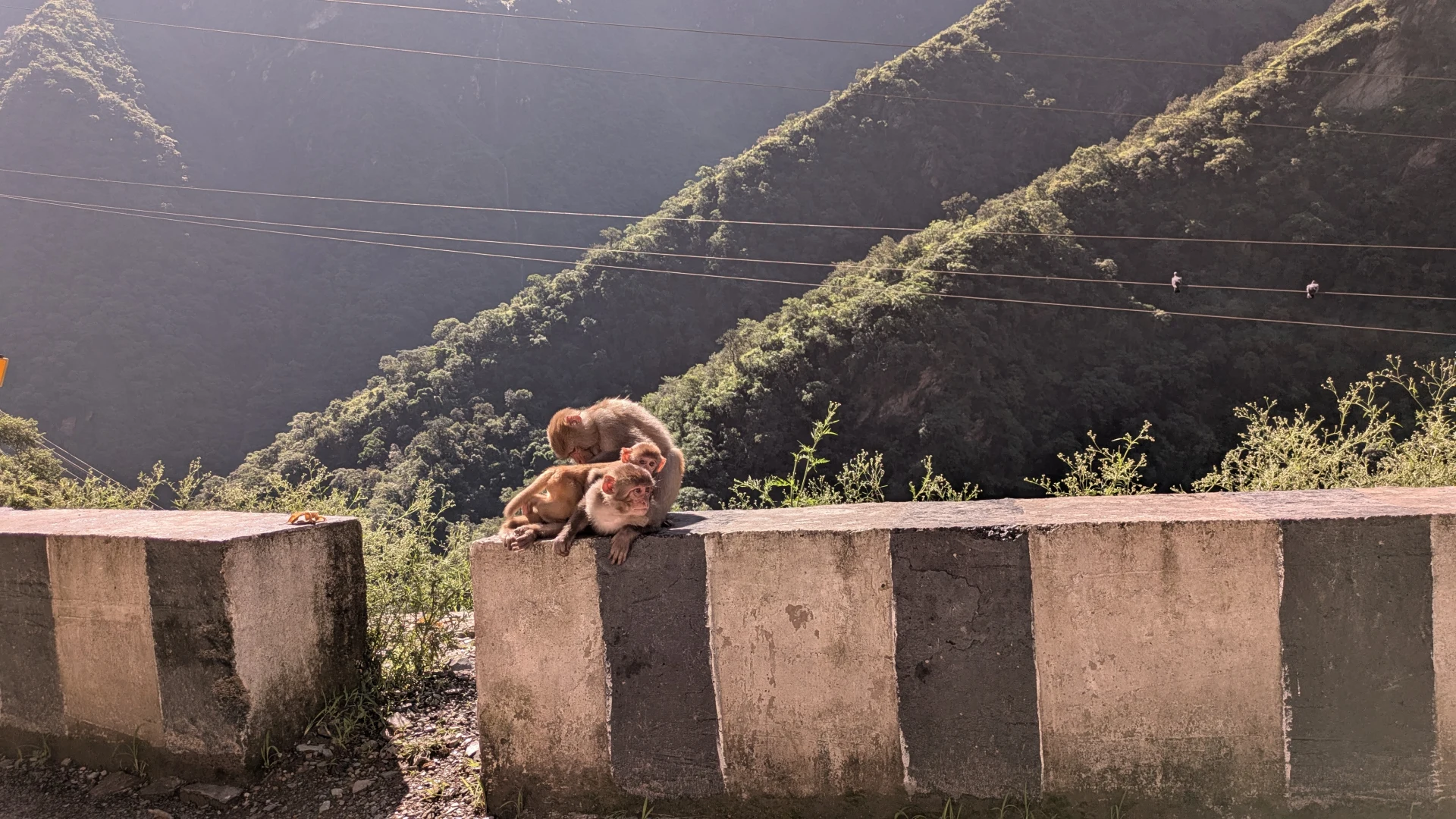 1735.26.08.12.Manali to Dharamsala