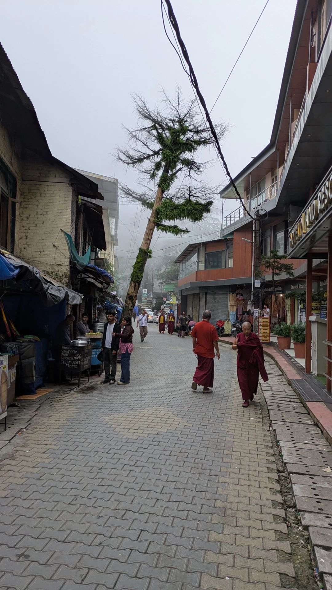 1793.26.08.12.McLeod Ganj