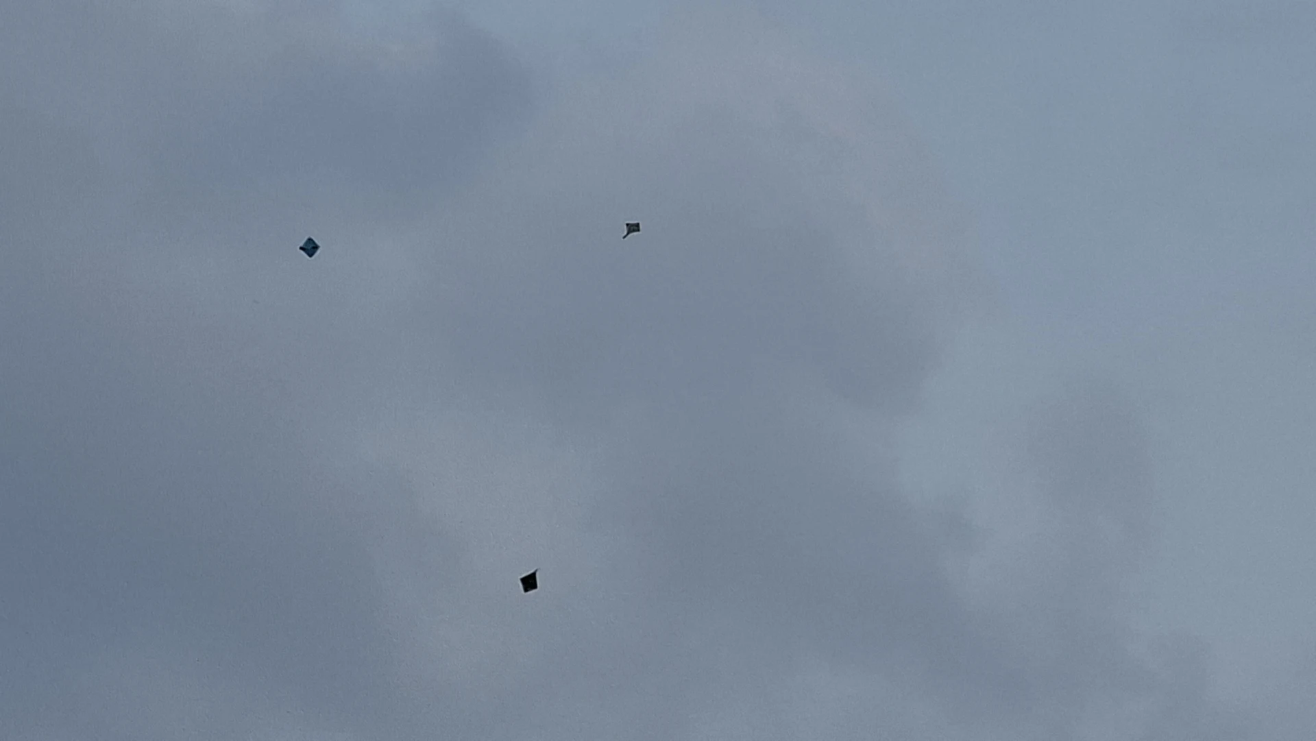 2008.26.08.15.Delhi - kites