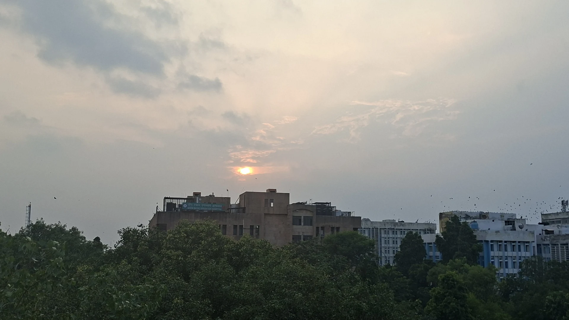 2011.26.08.15.Delhi - kites