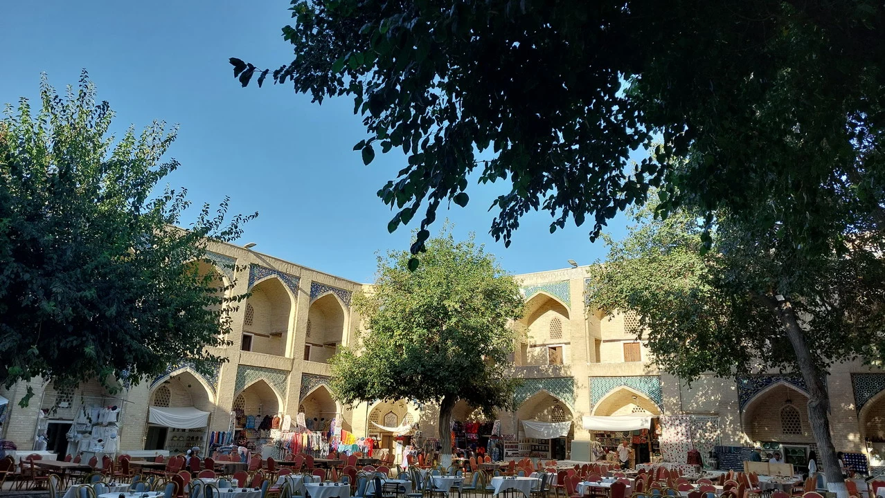 Cortile interno di un edificio storico con archi e alberi frondosi in primo piano.