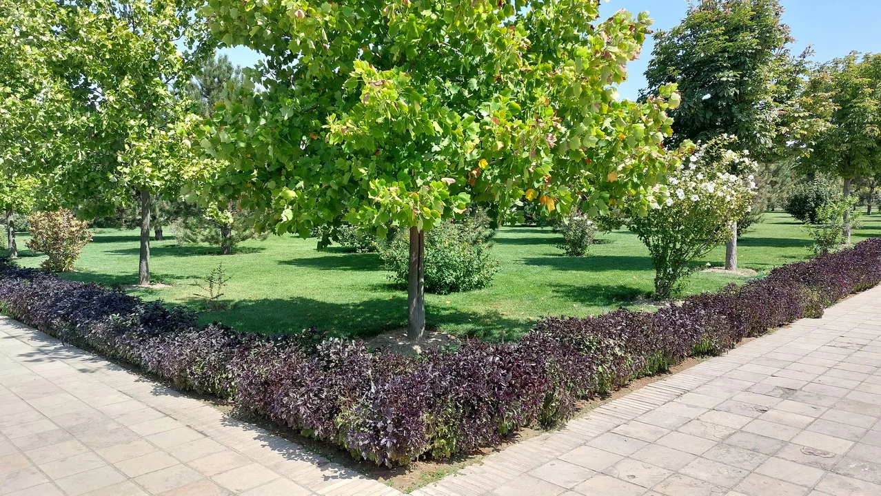 Un parco alberato con viali e siepi bordate di fiori si estende sotto il sole. Un parco alberato con viali e siepi bordate di fiori si estende sotto il sole.