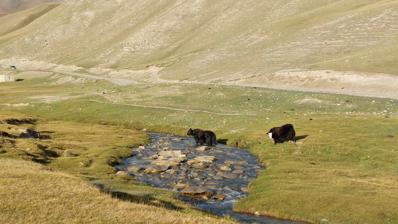 Al cospetto del Tien Shan