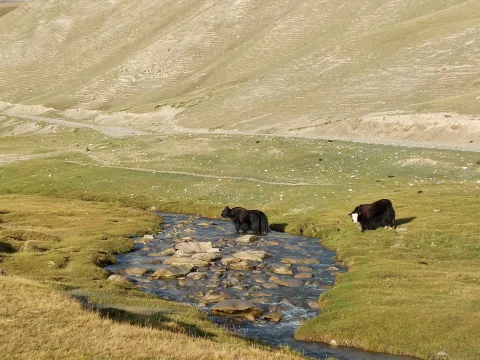 Al cospetto del Tien Shan