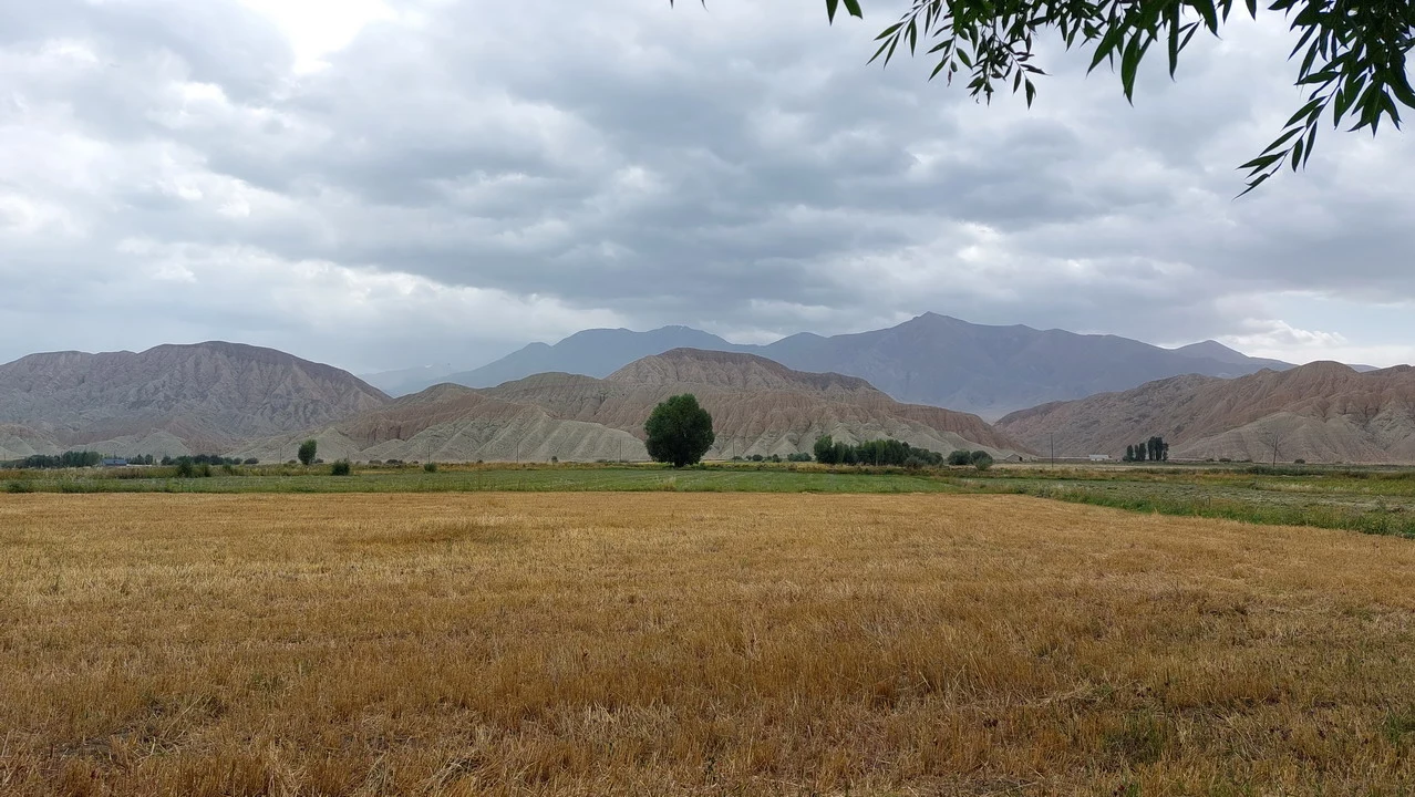 Un campo secco si estende davanti a montagne ondulate sotto un cielo nuvoloso.