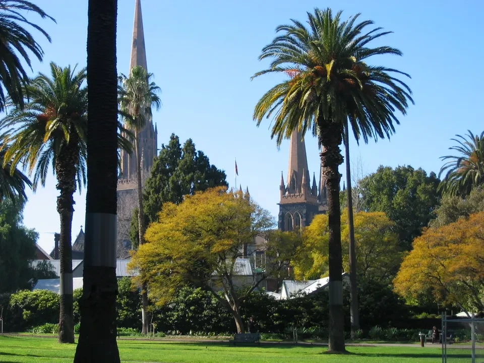 Vista della Cattedrale di San Patrizio a Melbourne con alberi lussureggianti in primo piano.