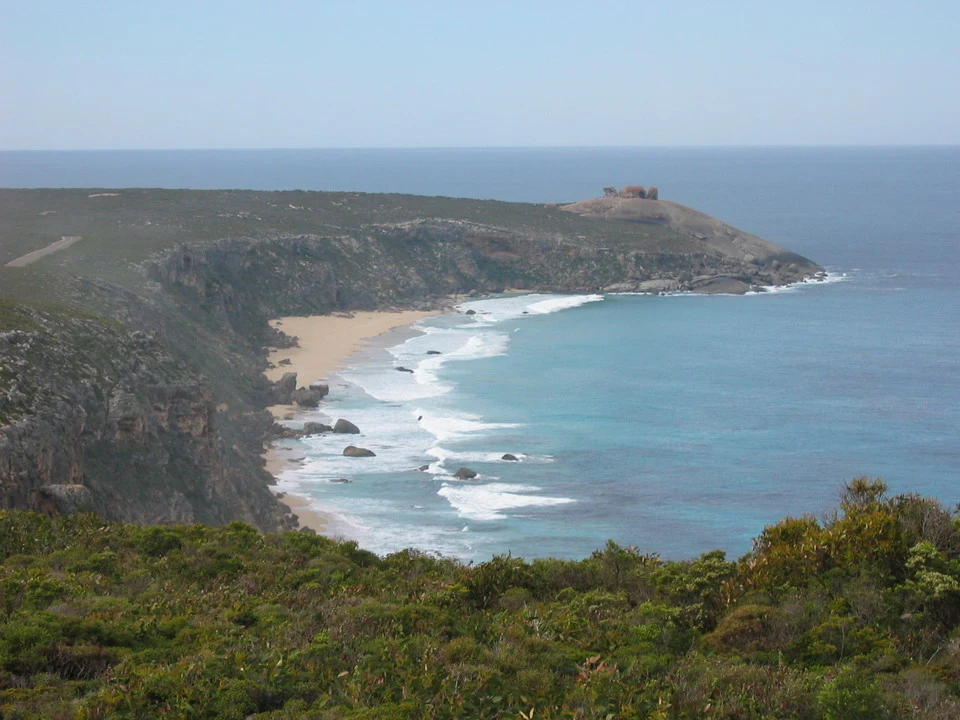 Canguro e rocce impressionanti si affacciano sulla costa rocciosa dell'Australia.