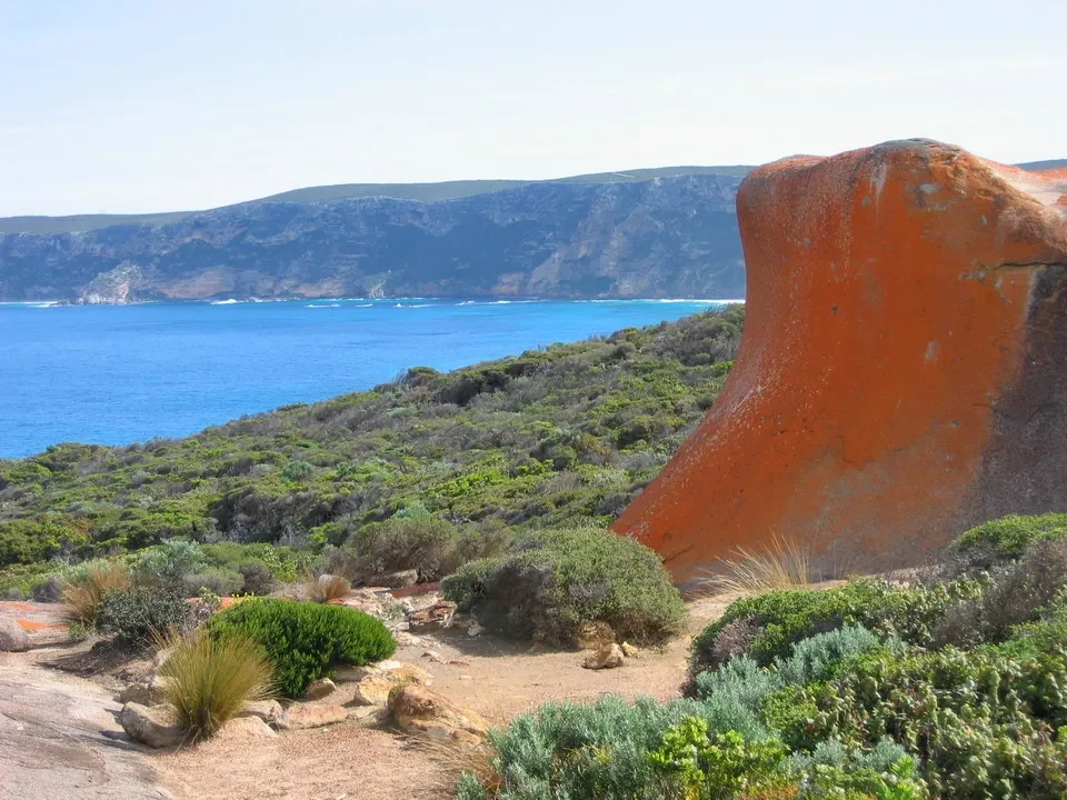 Canguro e rocce impressionanti in un paesaggio costiero australiano.