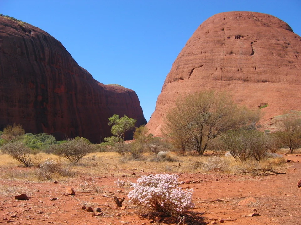Due grandi promontori rocciosi rossi dominano un paesaggio arido australiano sotto un cielo azzurro.