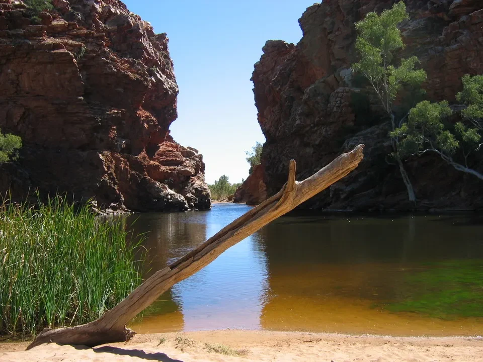 Un tronco d'albero attraversa il fiume tra le rocce rosse.