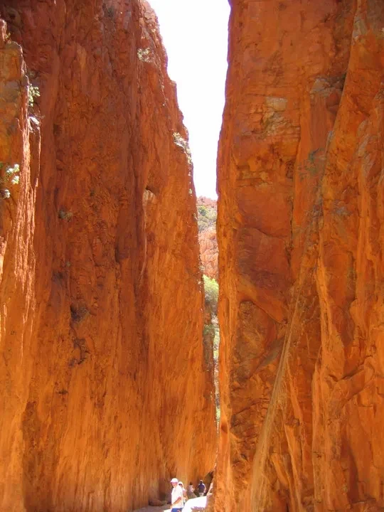 Una gola profonda e stretta nelle formazioni rocciose rosse dell'Australia.