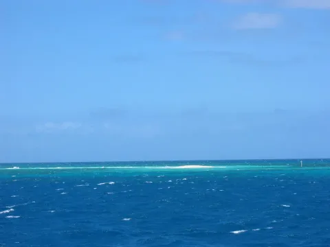 Great Reef