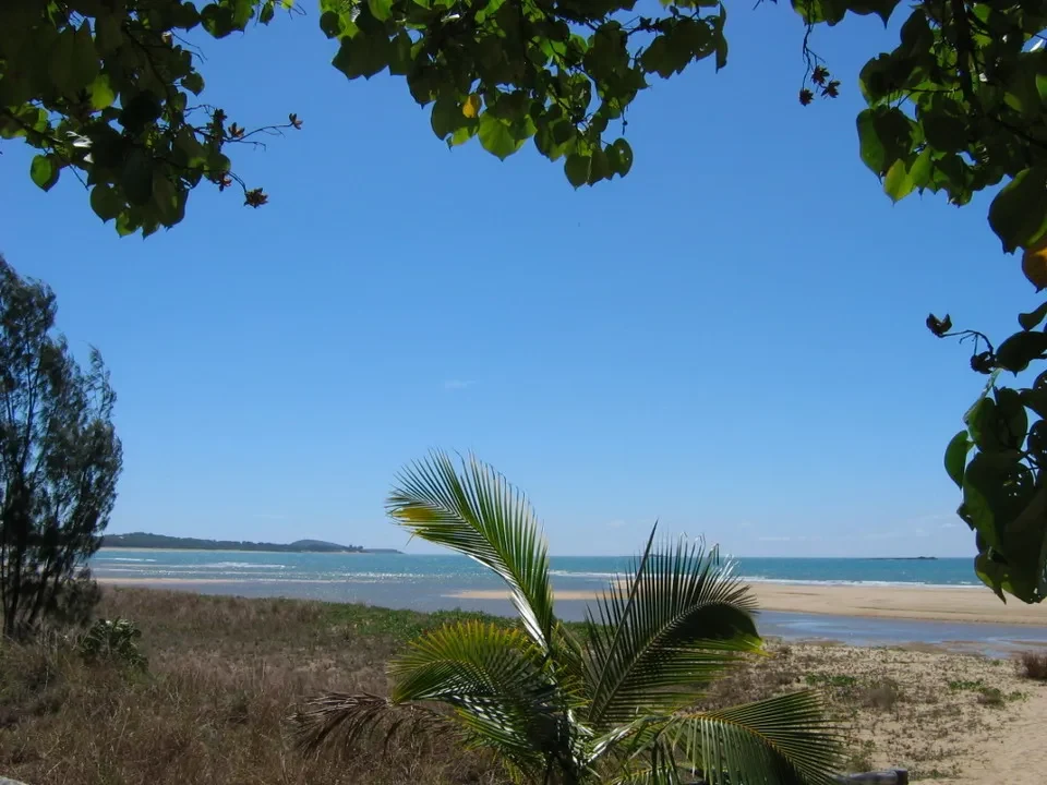 Vista di una costiera australiana incorniciata da fogliame verde e vegetazione tropicale sotto un cielo azzurro.