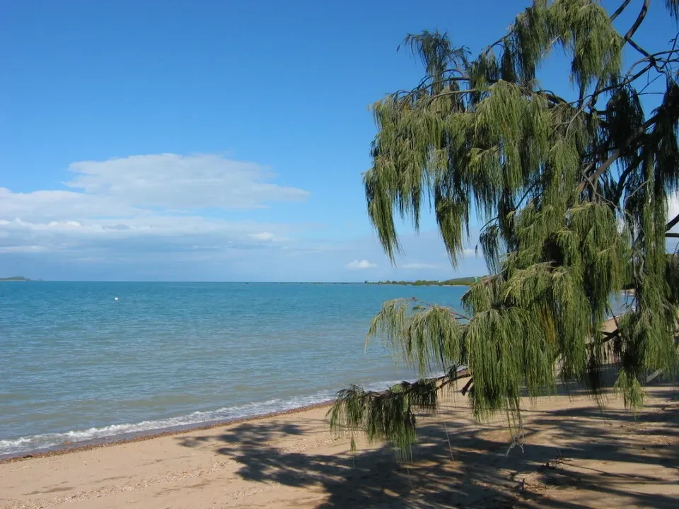 Una scena di spiaggia soleggiata con acqua turchese e ombre lunghe degli alberi sulla sabbia.