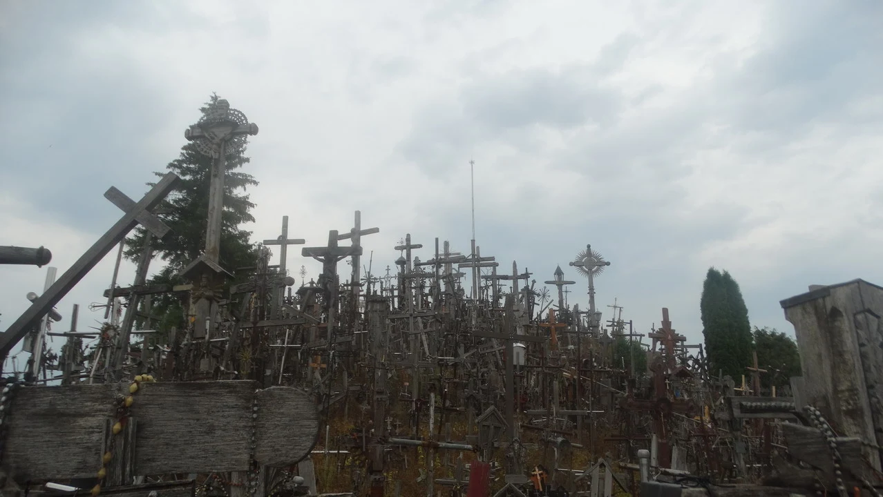 Un vasto paesaggio è coperto da numerose croci di legno sparse su un terreno aperto.