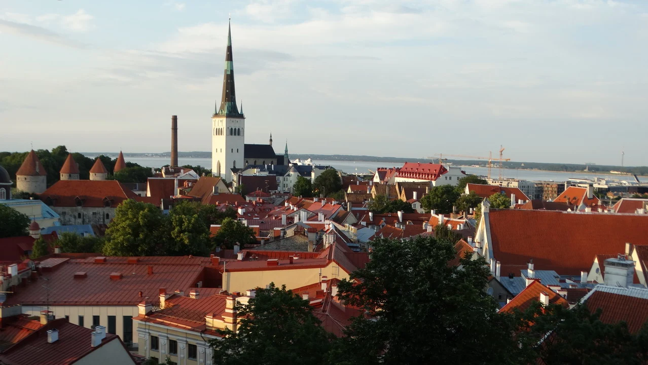 Vista panoramica di un luogo di osservazione a Tallinn con tetti rossi e edifici storici.