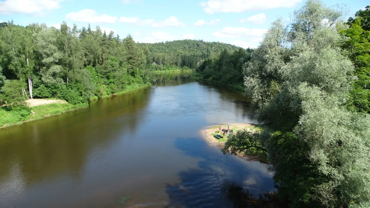 Un fiume tranquillo scorre attraverso una foresta lussureggiante in una giornata di sole.