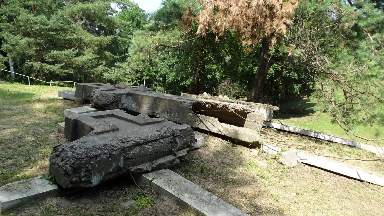 Resti di una struttura in pietra danneggiata nel paesaggio boschivo.