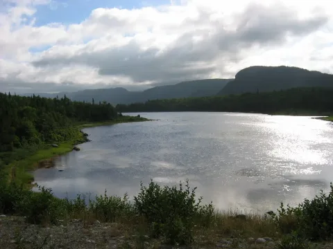 Newfoundland I