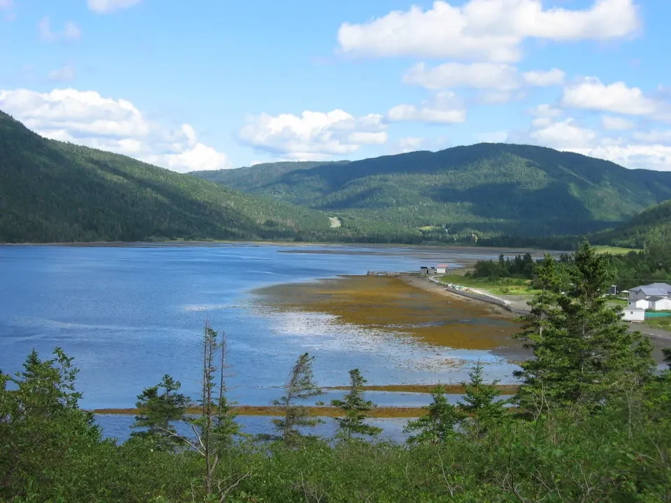 Paesaggio di acqua, foreste e riva nel Canada Orientale.