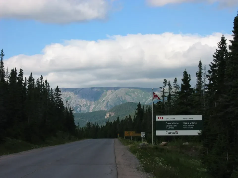 Una strada asfaltata attraversa un paesaggio montano con alberi di conifere e nuvole nel cielo.