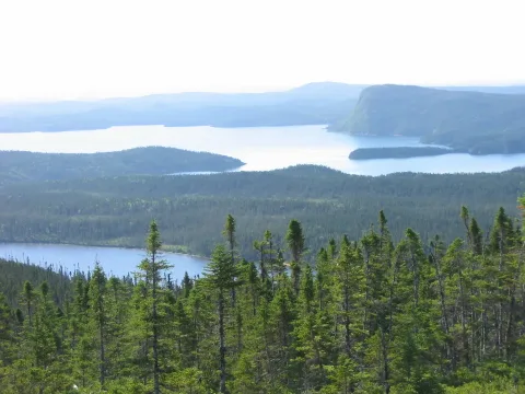 Newfoundland II