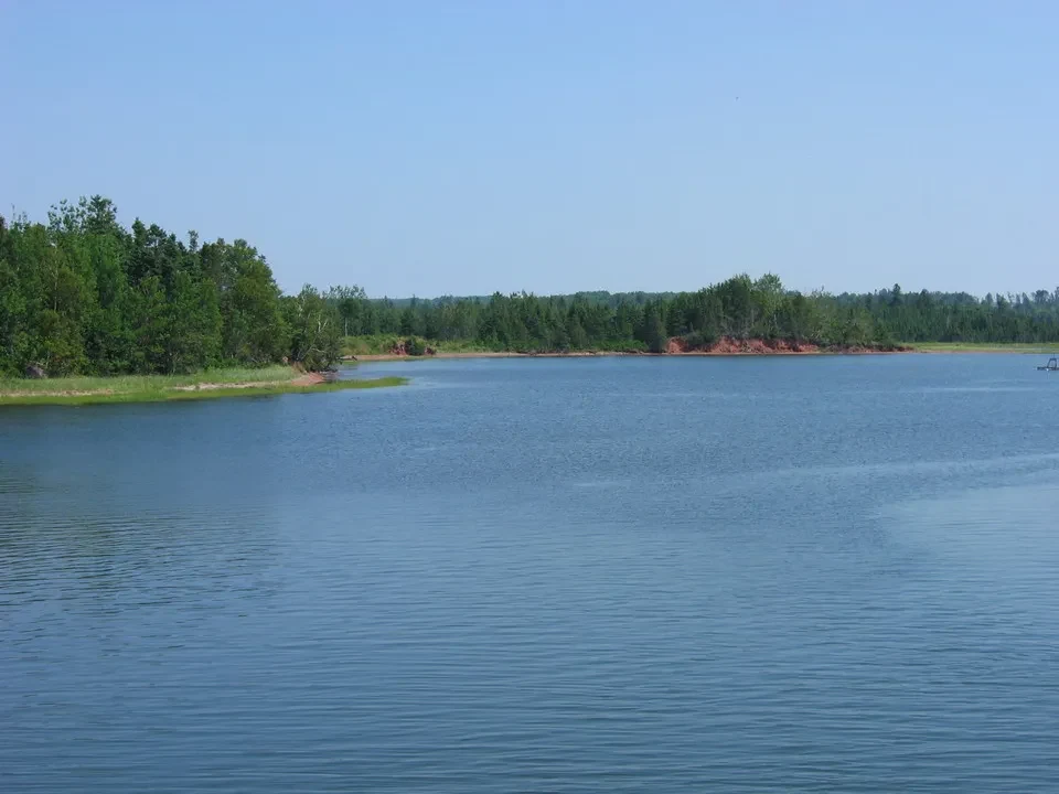 Un lago calmo circondato da una fitta foresta sotto un cielo azzurro.