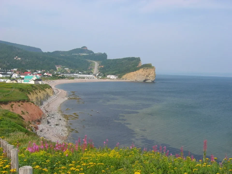 Paesaggio costiero con vegetazione fiorita che si estende verso il mare.