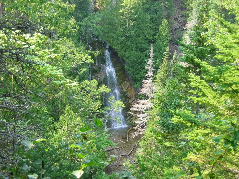 Una cascata verde scorre attraverso una foresta lussureggiante in Canada orientale.
