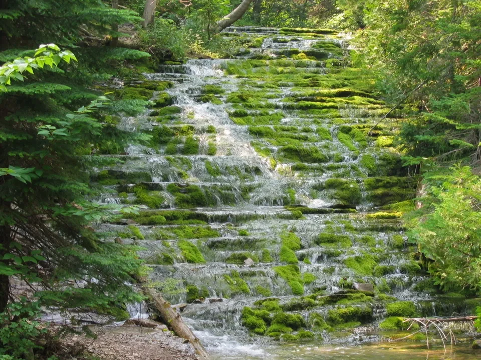 Cascata verde e smeraldina scorre su rocce coperte di muschio in una foresta rigogliosa.