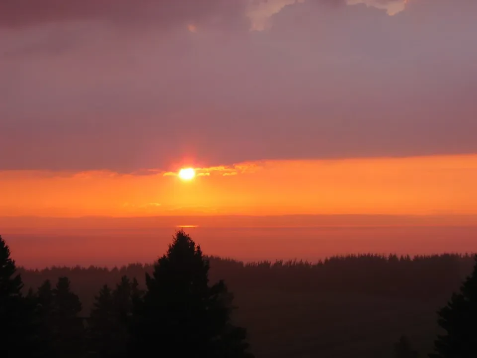 Tramonto su una foresta nell'Est del Canada.