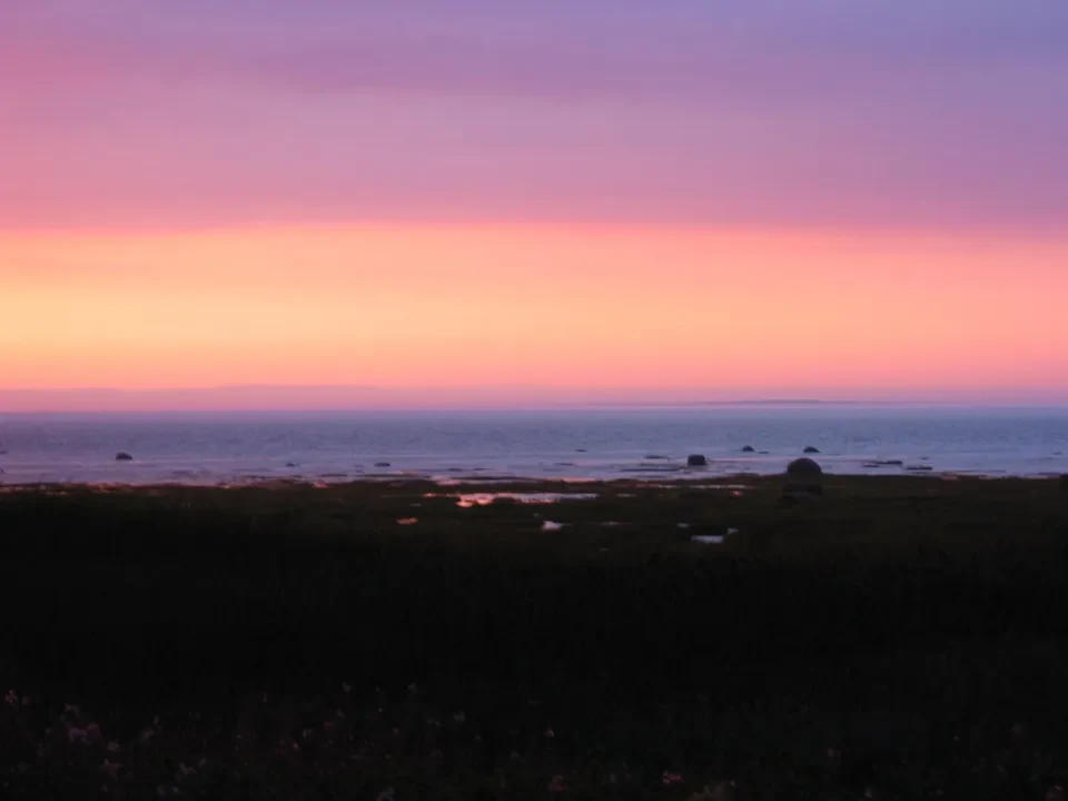 Tramonto sopra l'acqua con un orizzonte sfumato di rosa e viola.