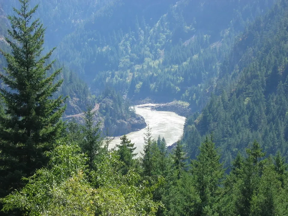Un fiume ampio scorre attraverso una fitta foresta verde in Canada Occidentale.