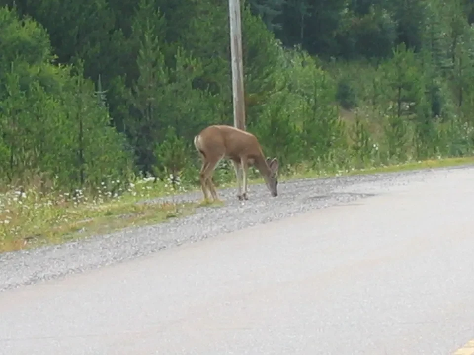 British Columbia