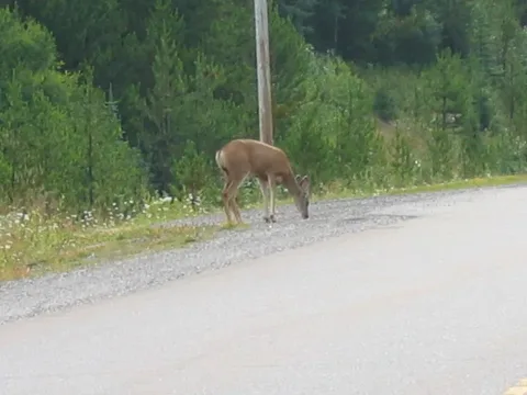 British Columbia