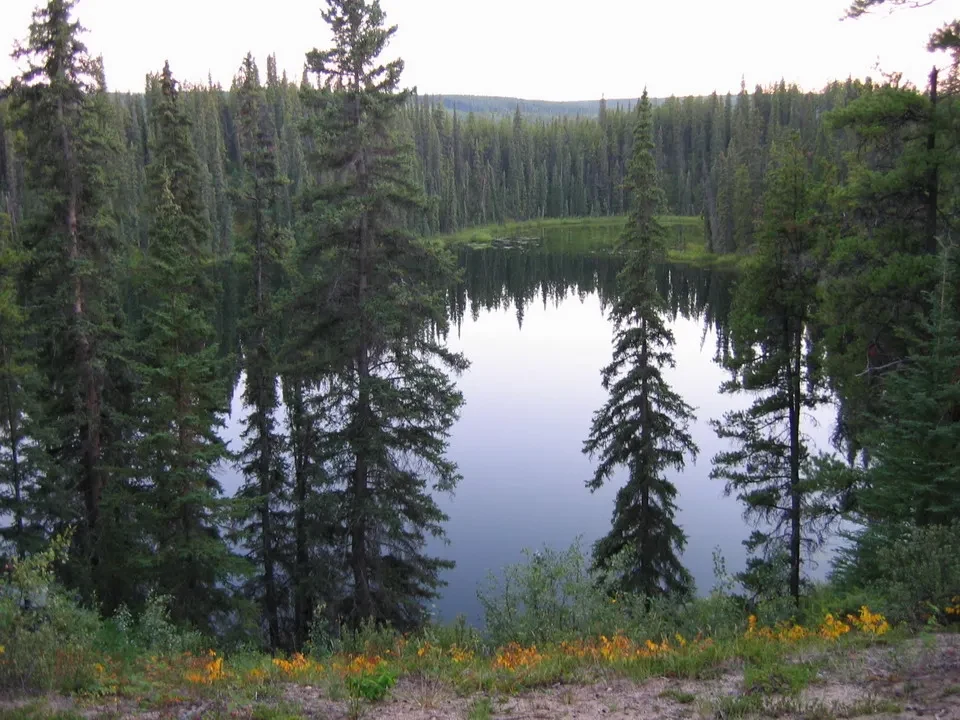 A vista un lago circondato da foreste di alberi sempreverdi.